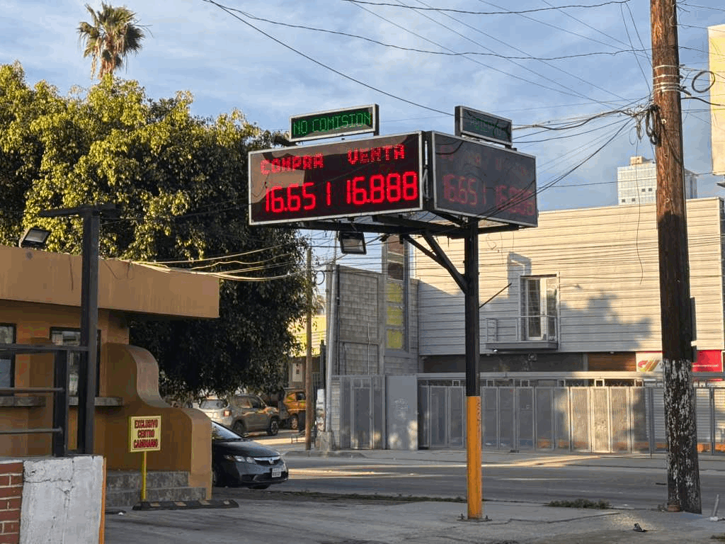 92d9bb17-2f43-4fe2-9f4b-8cf174fdab9e