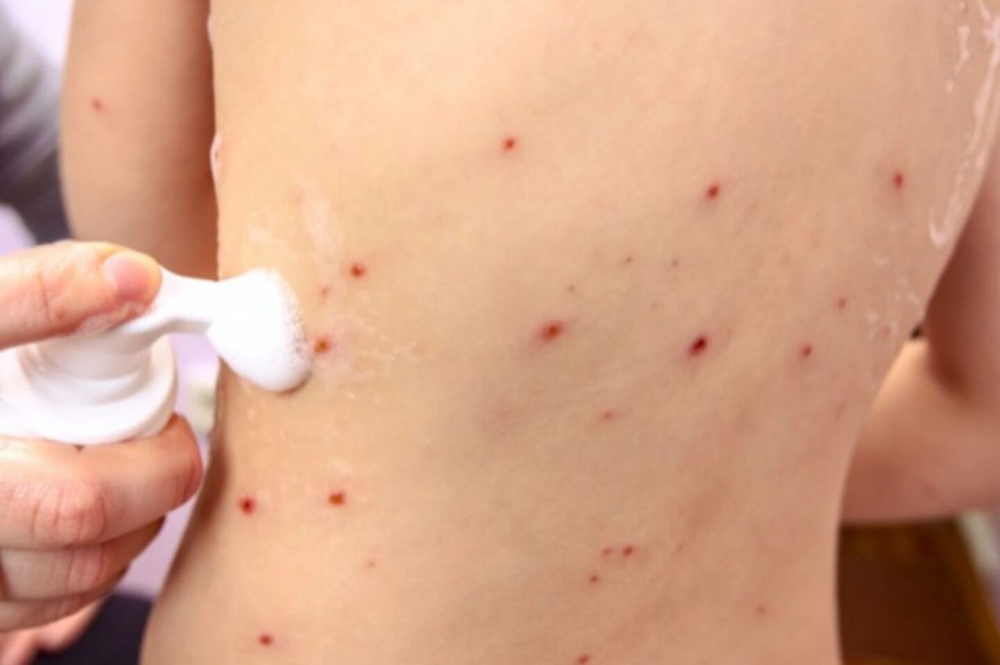 92f32807-ac1e-4436-b693-d1d1f8b47a08