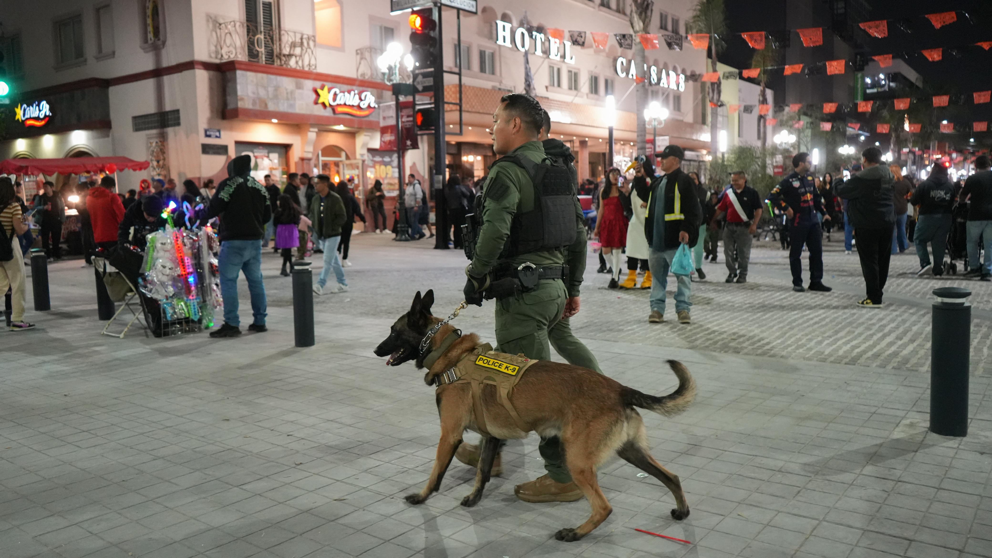 9303bfb1-b79f-47e6-9047-e0389d12bb12