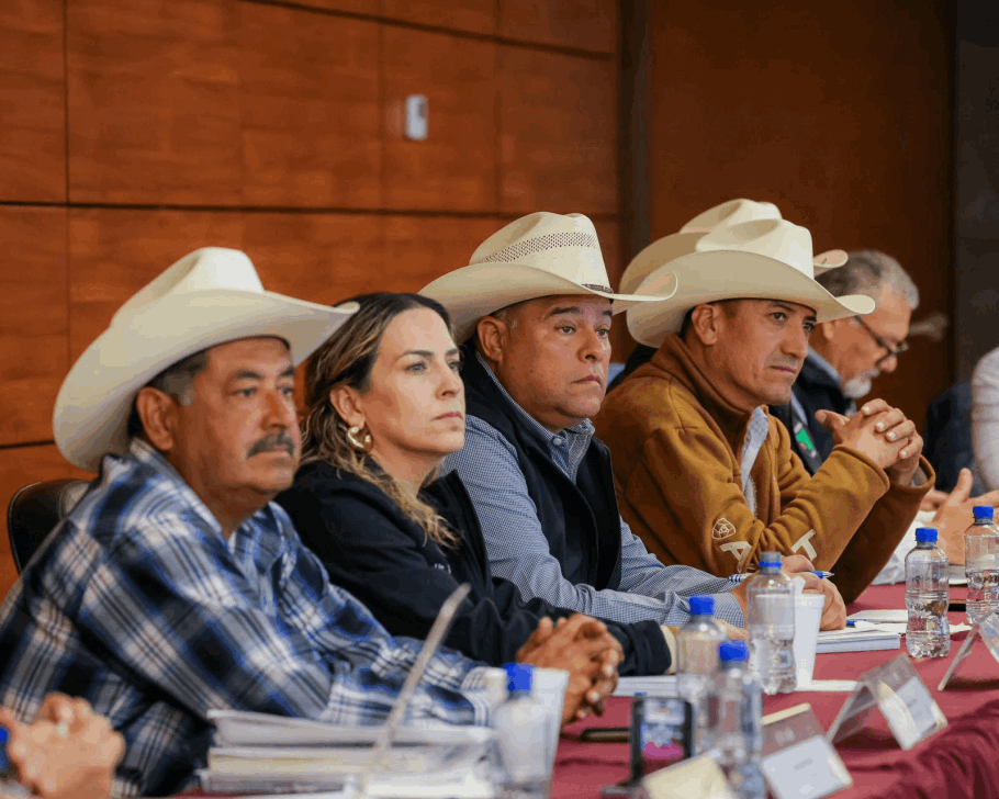 937acfaa-1f42-4de1-8c13-6dea78439644