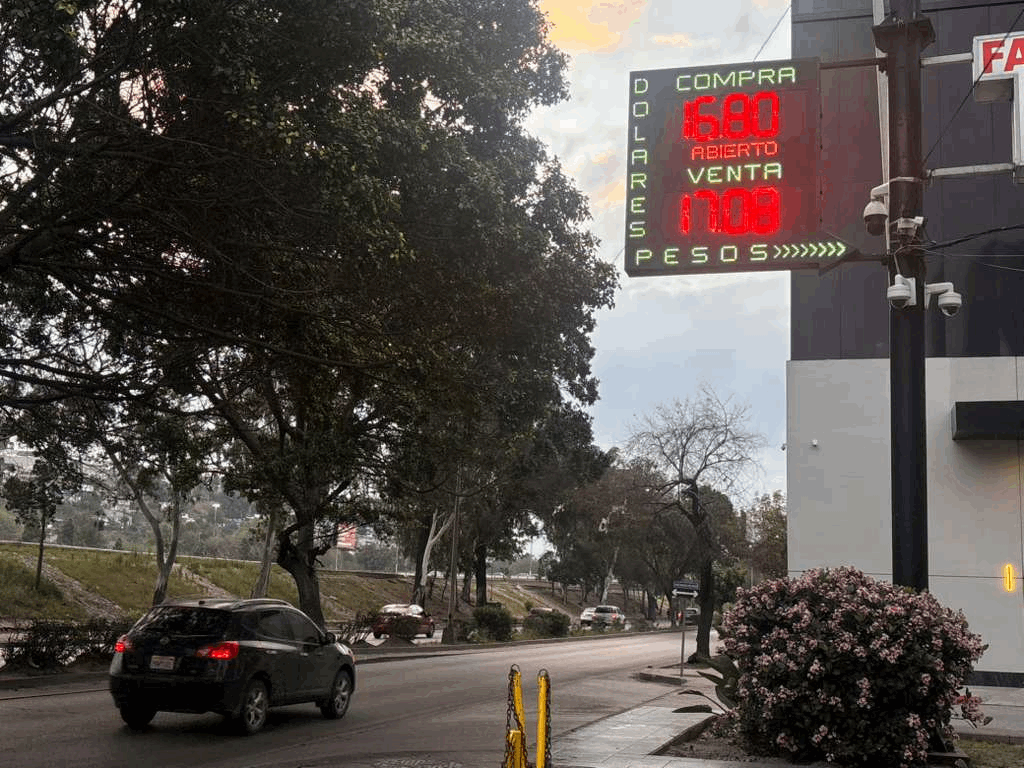 93bc4f6d-260c-4307-8814-afaf6aa0ac95