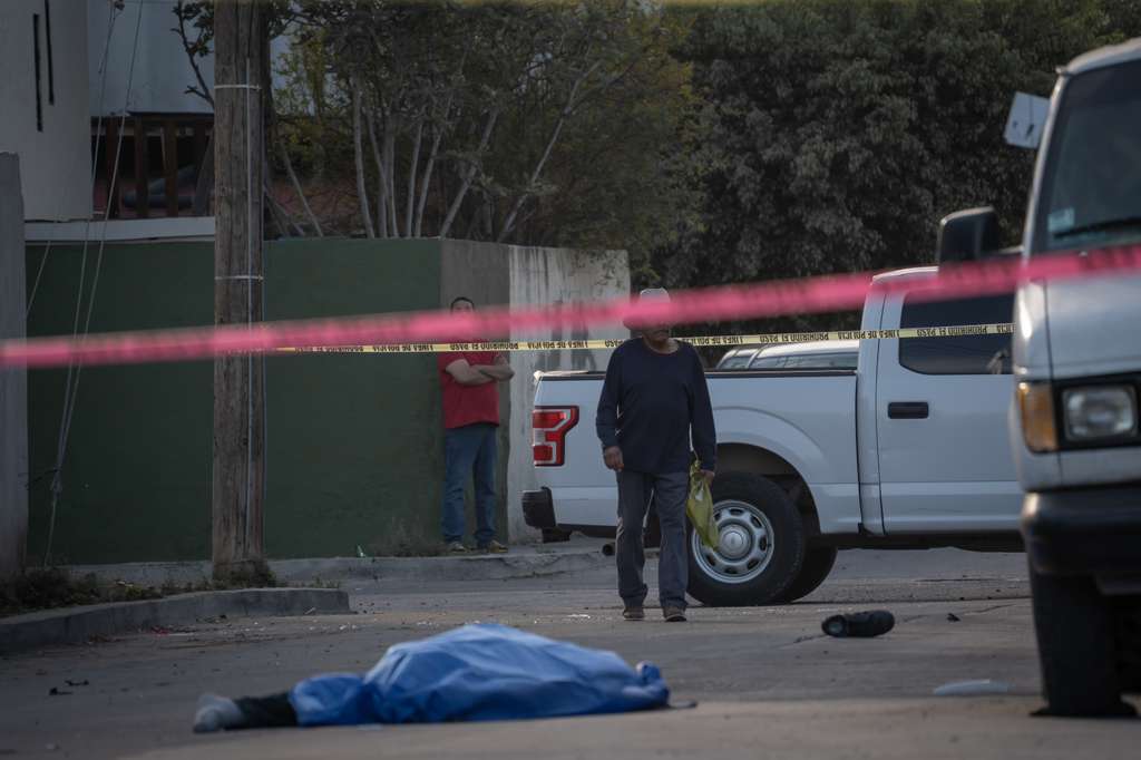 95815a81-f267-423a-9d01-efc20620f5cc