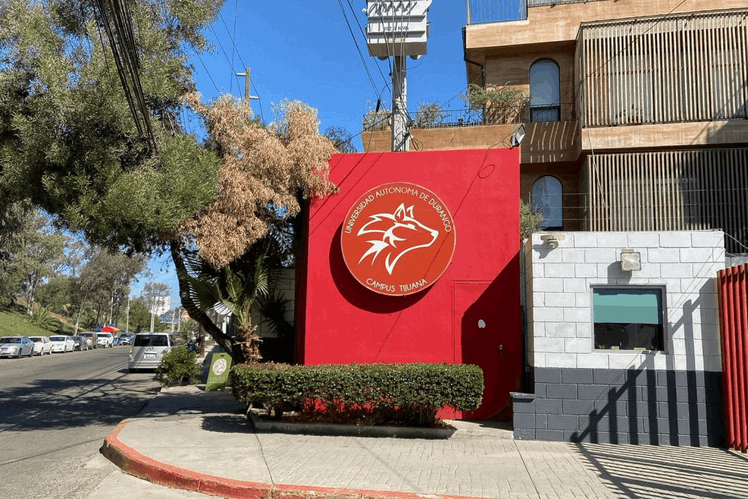 95c19174-08aa-4cb9-9714-0eb452bcdd61