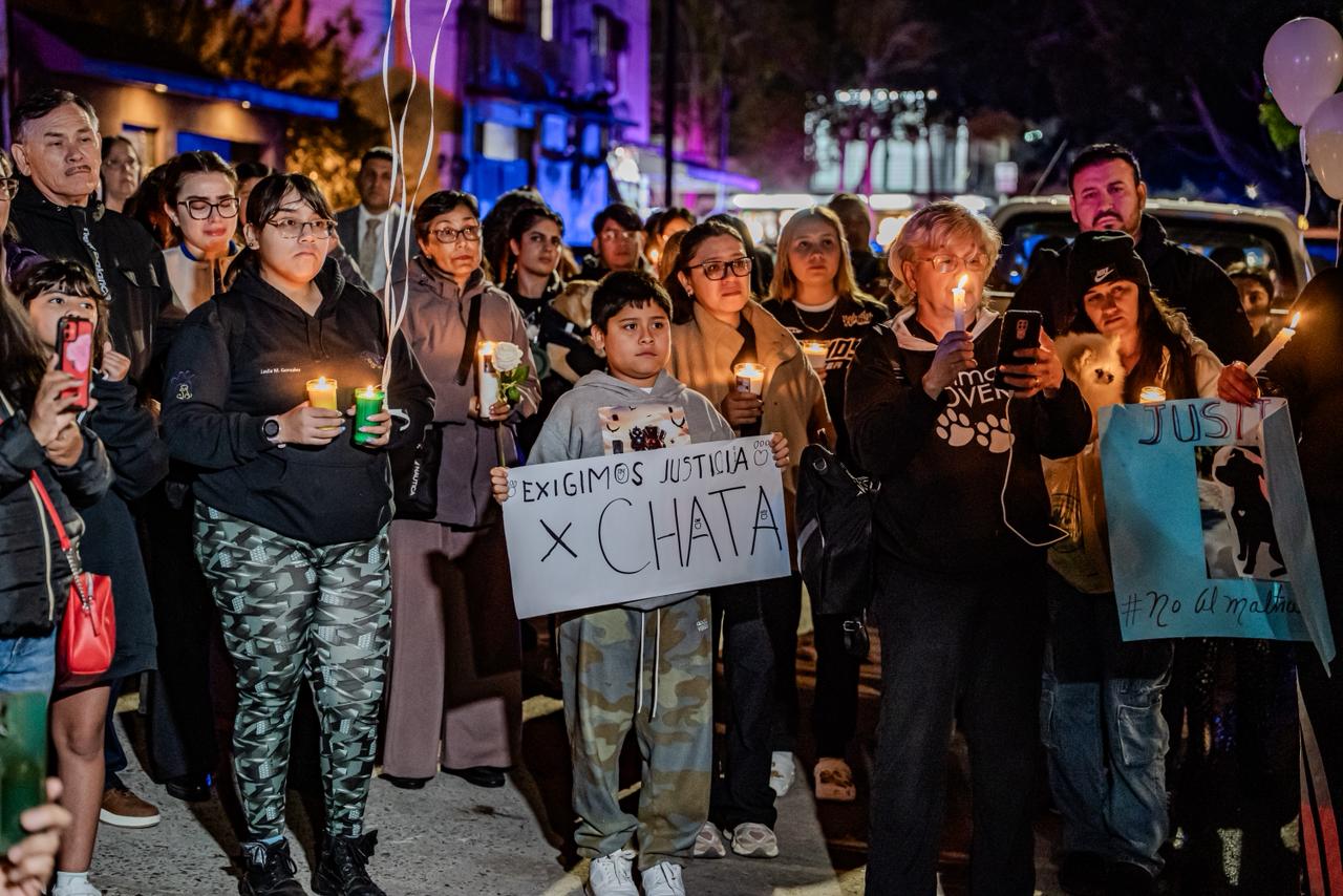 95cfb285-63ba-44c4-b1ec-a45e66f4272a