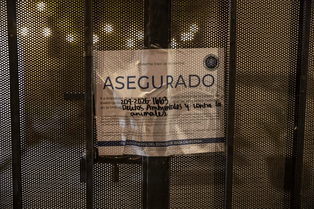 98ca0ffb-82c1-4818-bc33-0aa7ccdc7fad