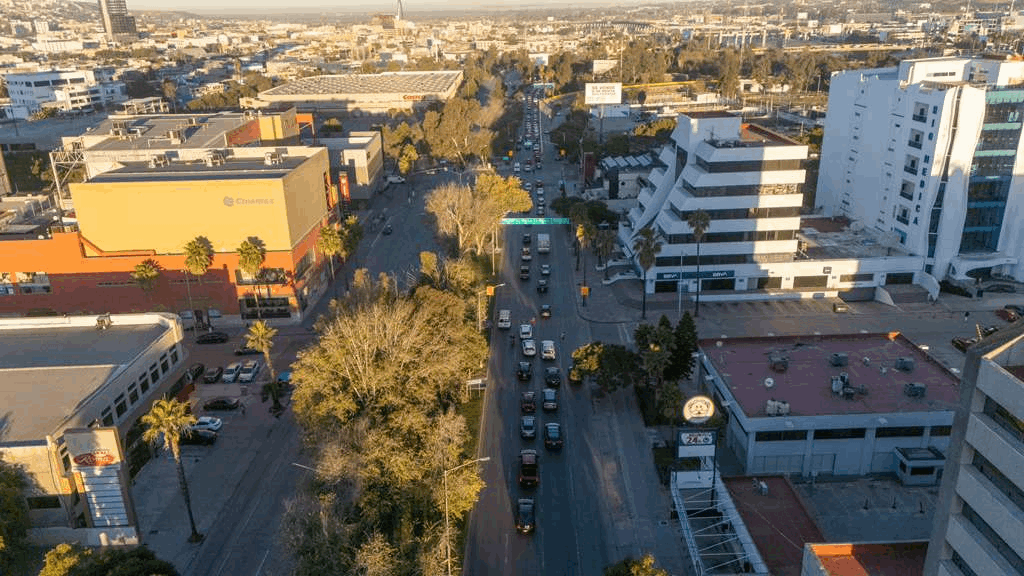 99006f83-00f5-44de-879f-29e77354c7f6