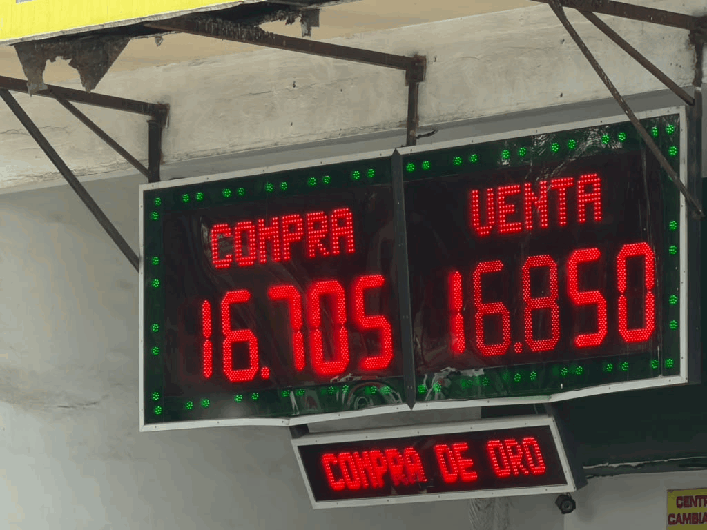 9919f47a-c4e3-45e3-90df-e29b432fa6c6