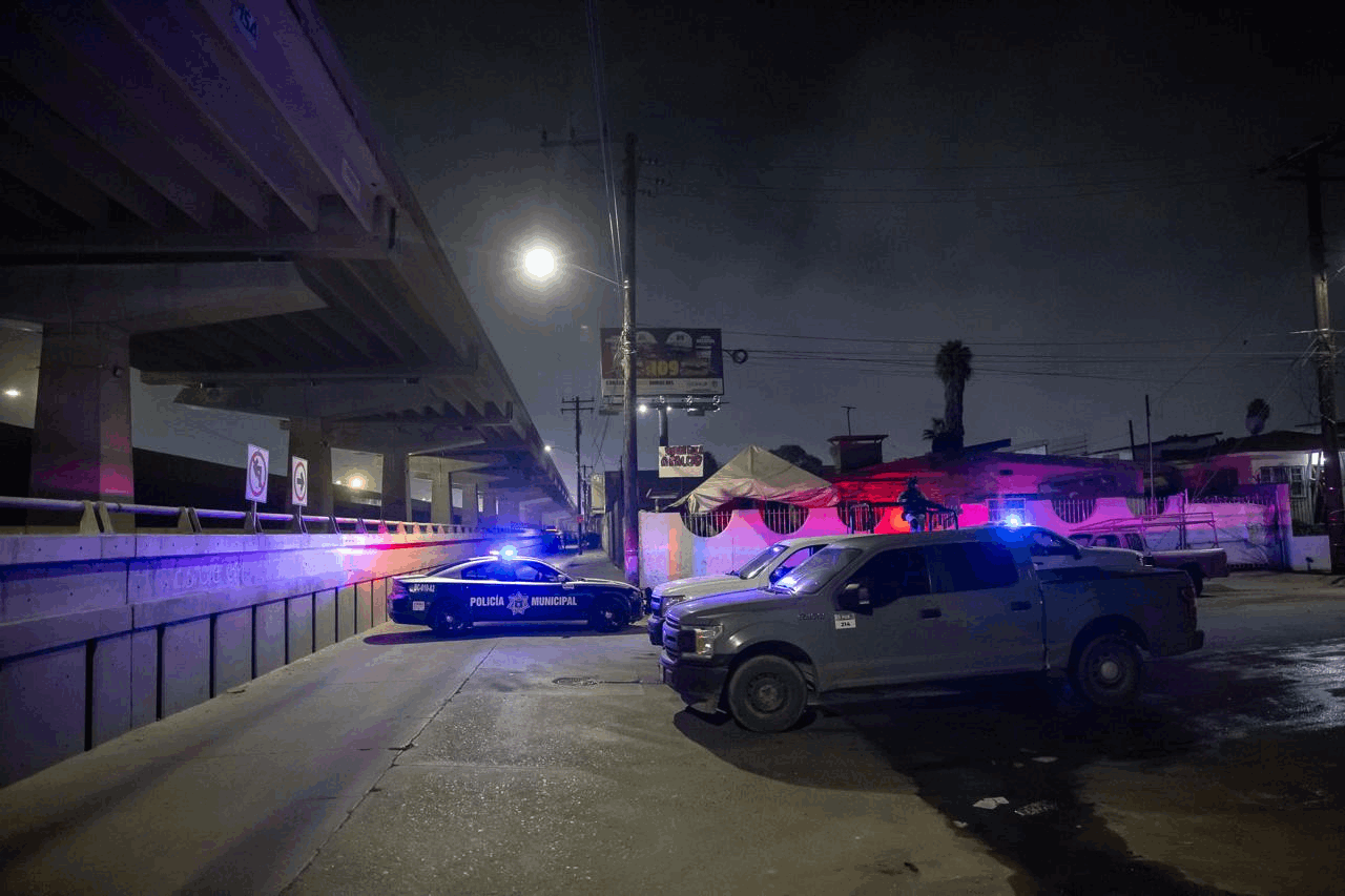 99cc9178-e646-4f81-86f7-95feede93fdd