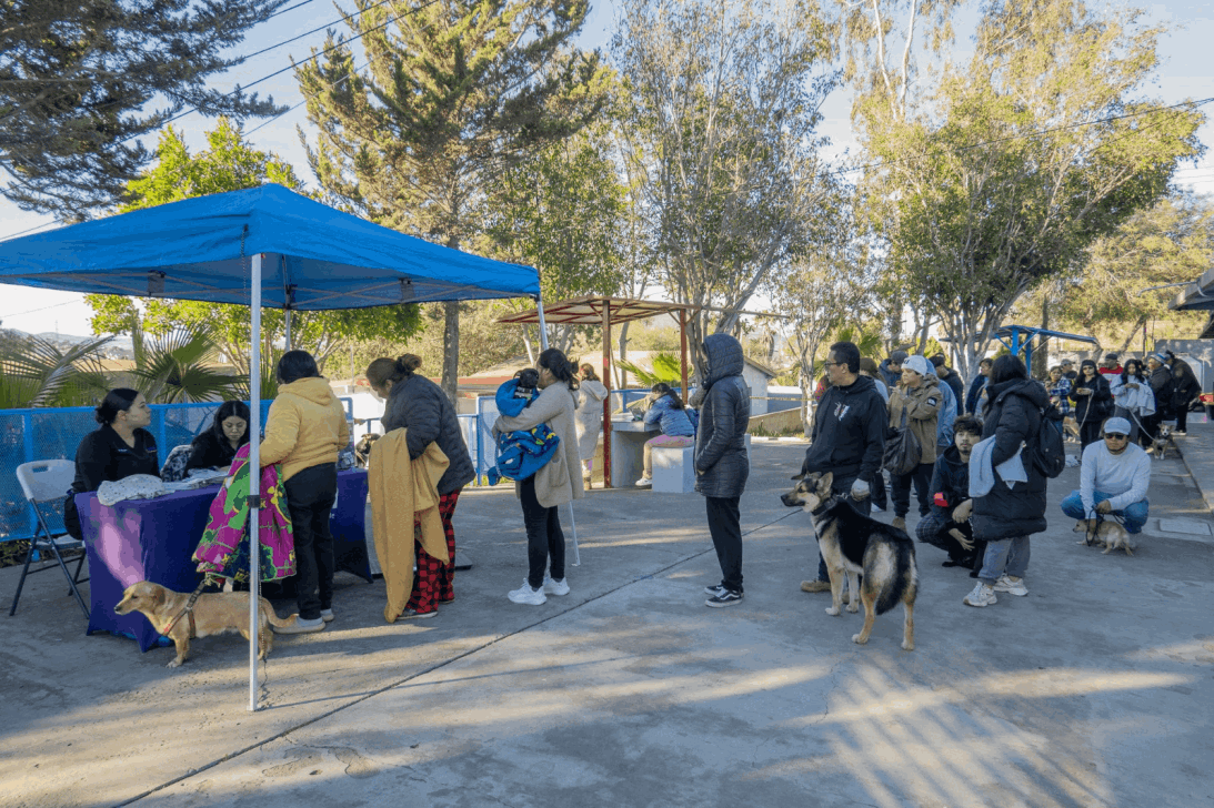 9ac0e1a4-3c30-4fcb-8450-93db5cdb0abd