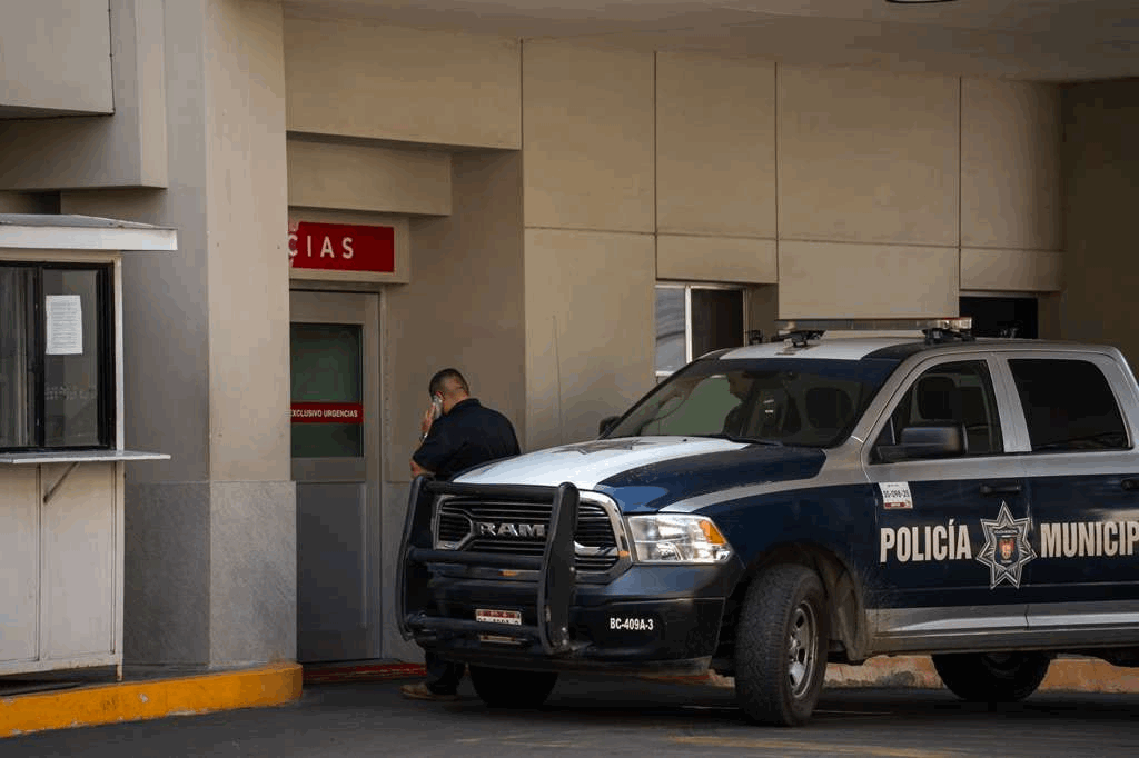 9b5aa5f1-5c4f-4326-be17-dfc8748590f7