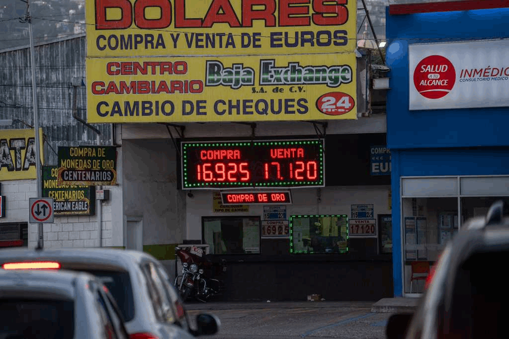 9f98e05c-73c3-4e5b-86c8-312b247e4723