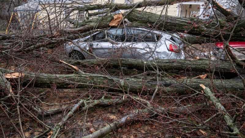 9fd3be59-ecf4-4523-ad2f-2bac6be51c12