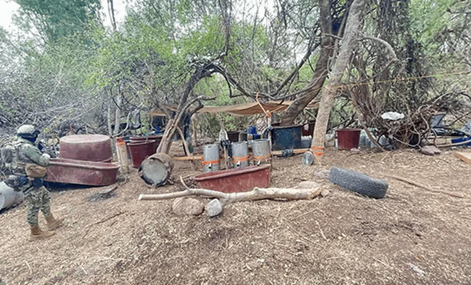 a07ed96c-1a5c-471c-a475-668184346ff6