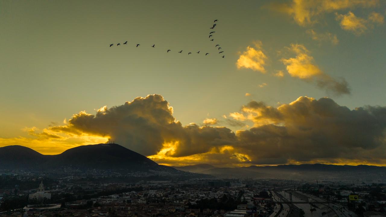 a13b2645-127b-4ff1-a75c-64c3e0bc21c0