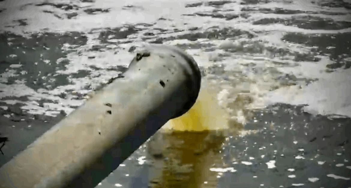 a213a966-9d39-44ed-8995-b3ecc64df4f6