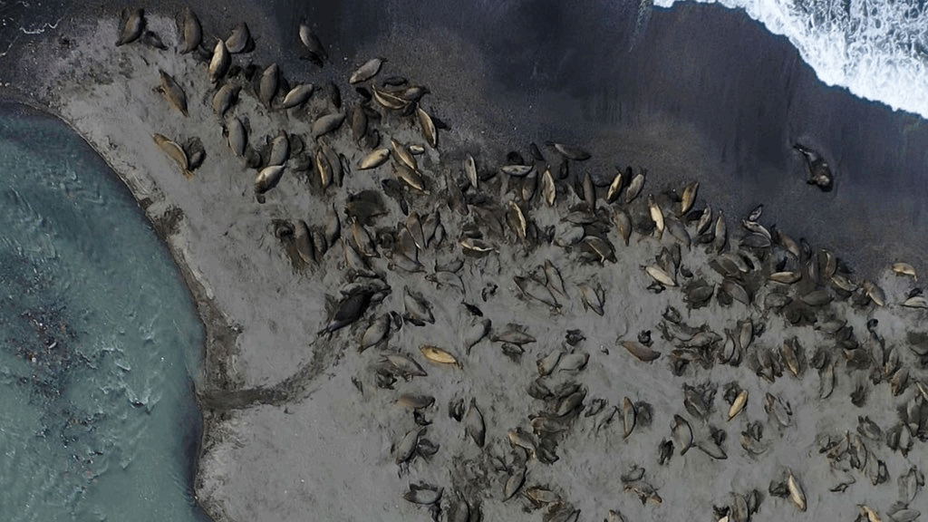 a357751a-39e8-42fc-8573-df797f9cf569