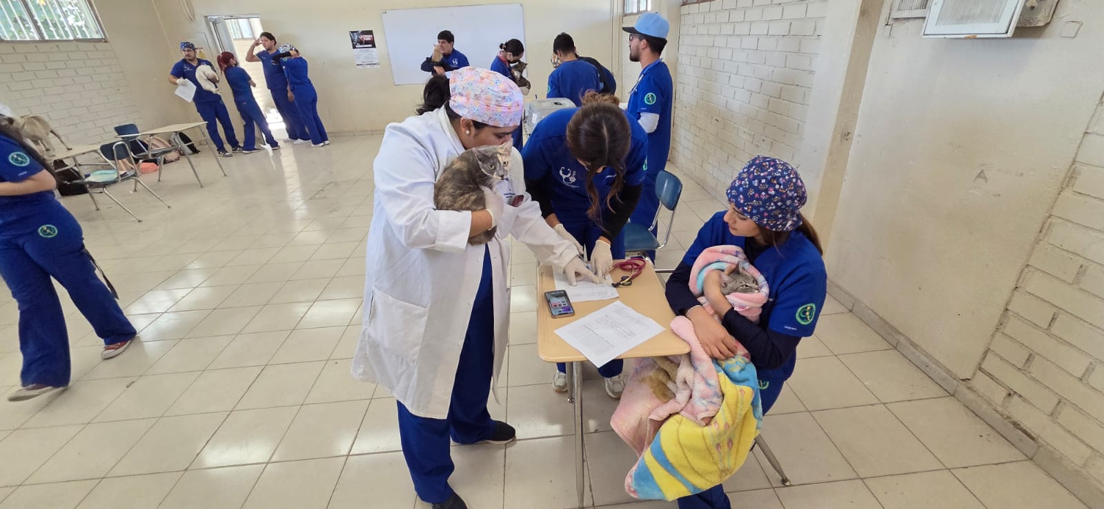 a36d526e-2752-4d93-8648-d7e3cd91fb3d