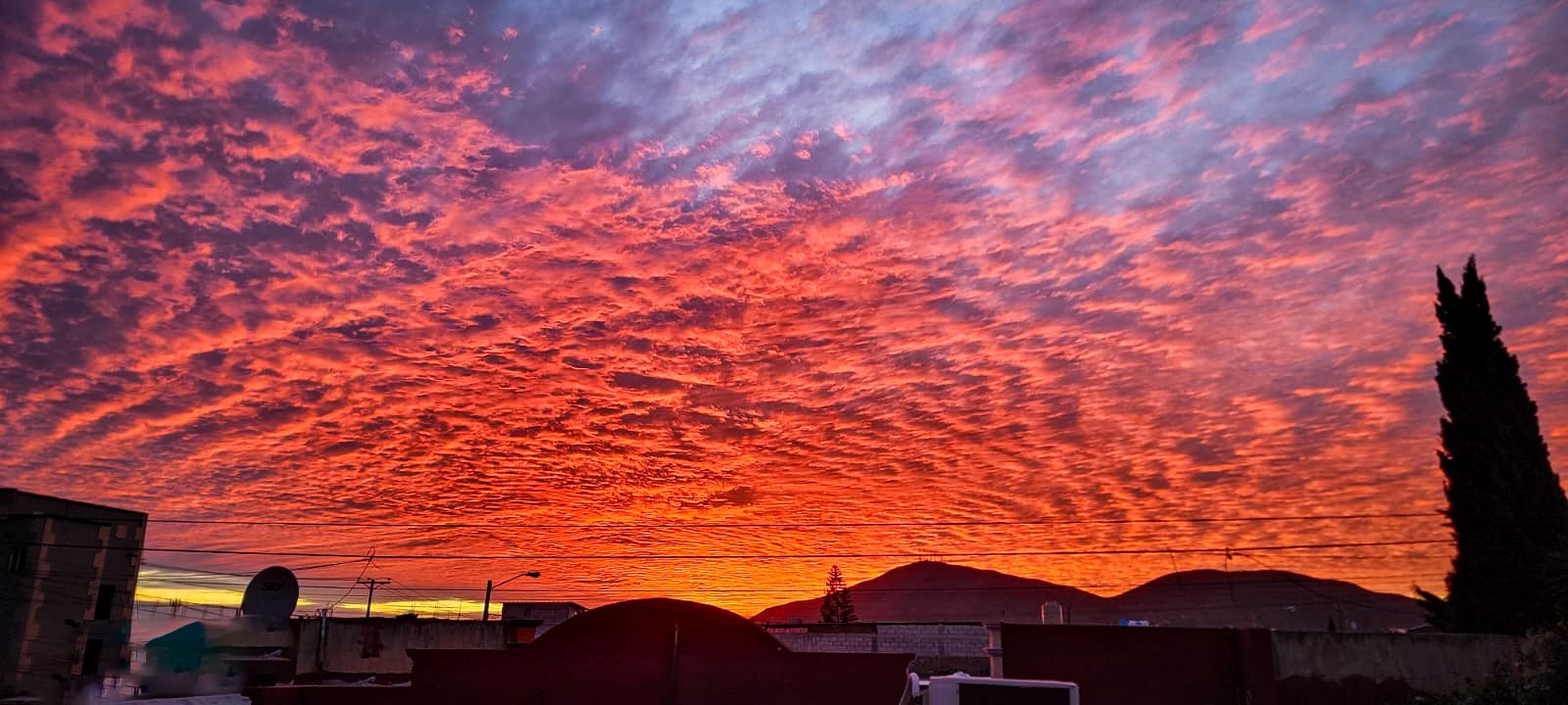 a3b751bc-a001-4701-9c6f-45258c2b771c