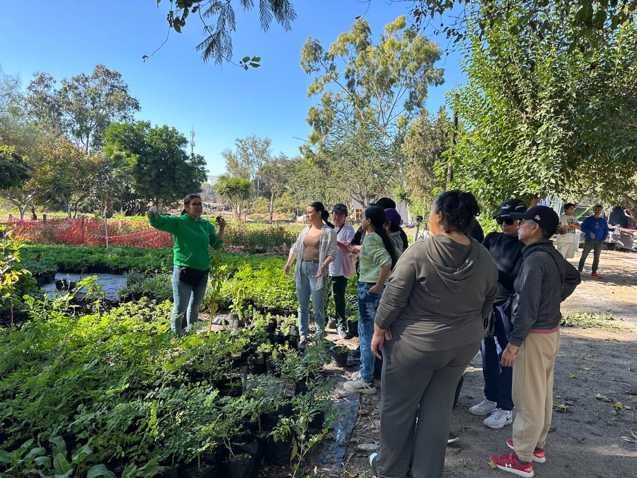 a49fa2c6-e94d-425a-ae0b-2e2b363f0e05