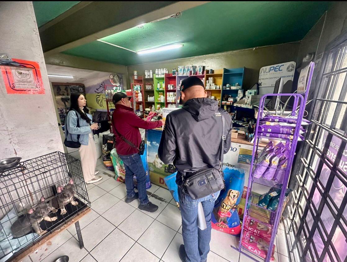 a6a942d5-82bd-4e83-86eb-bcd2739ab912