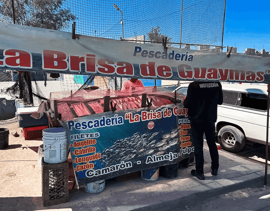 a88c0433-84b0-49fe-85dc-97433fcfcb14