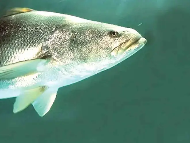 a8ba032f-a2ab-4b06-a664-2c9715e2b4aa