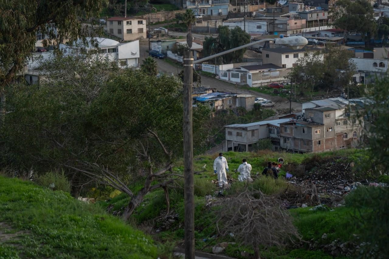 a8c6f2f1-3725-4c25-9210-b89635d1d016