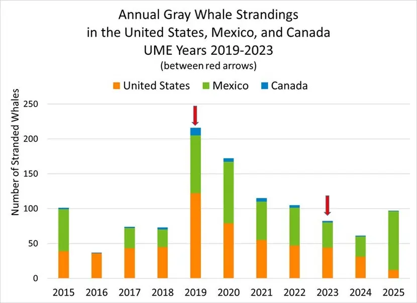 ac847d38-c34a-46c3-a7d0-a0b92c0424e3