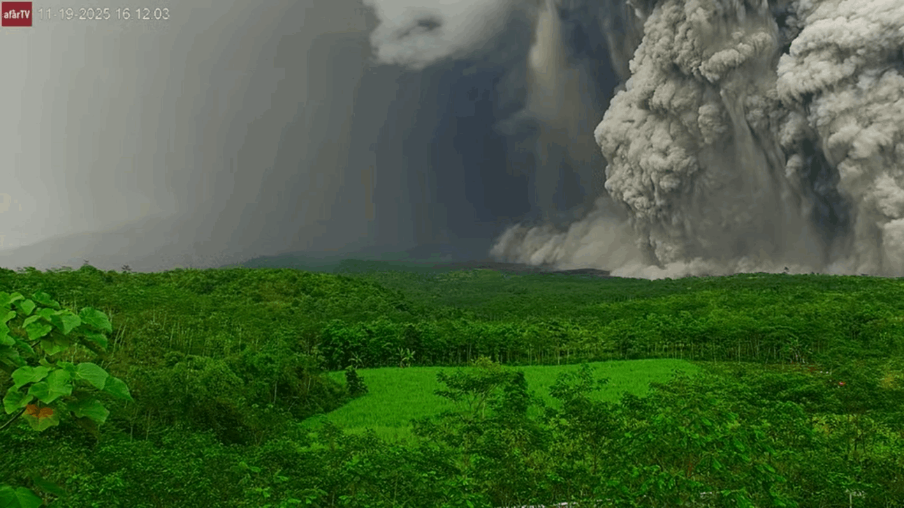 acb70b84-4d3e-4d43-9d6d-048f41baaaac