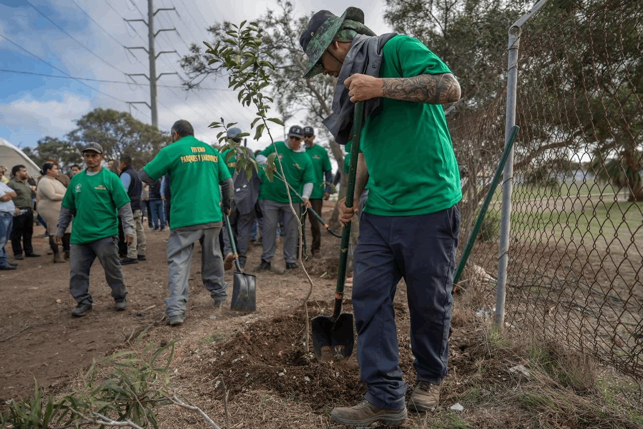 ae0c959c-f277-4ccb-973b-70de919a7f70