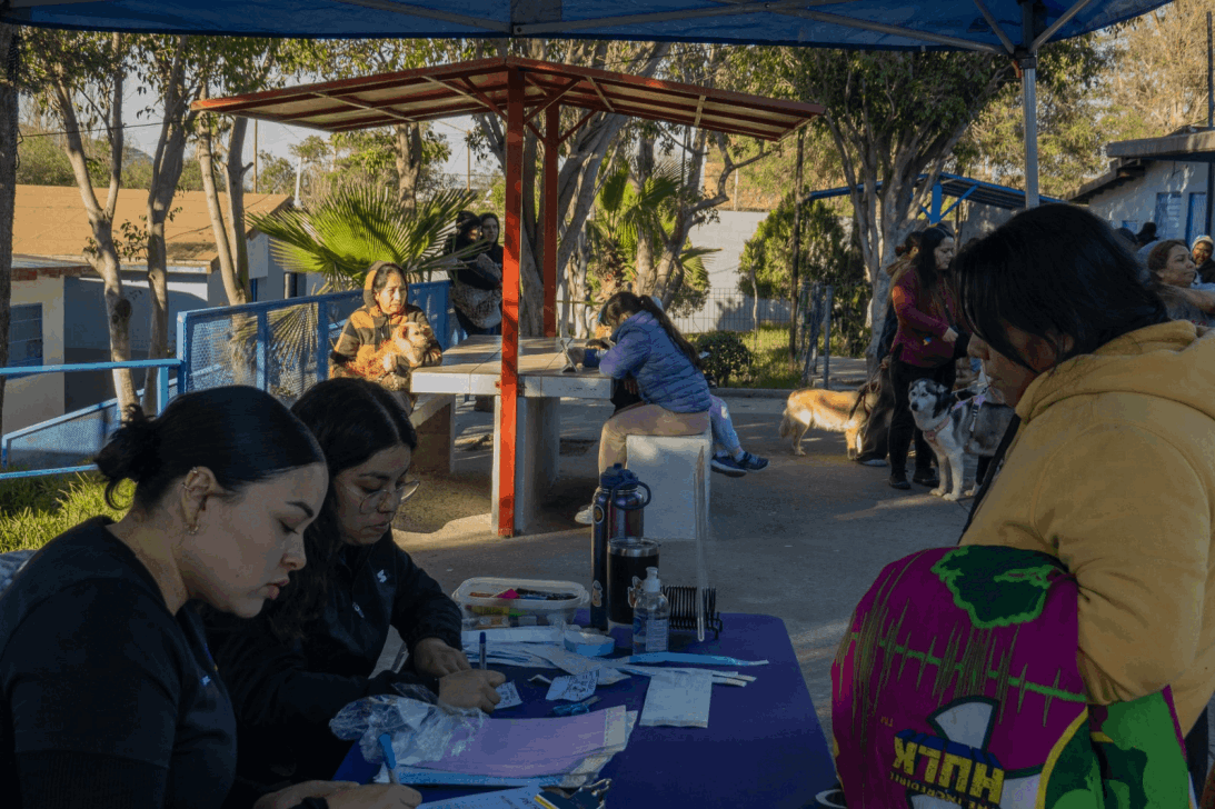 ae67f396-7bd0-461f-9624-7216443b7938