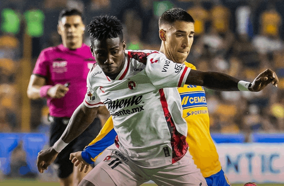 ae9bd721-9ad1-43e1-aab6-c4bffb277c52