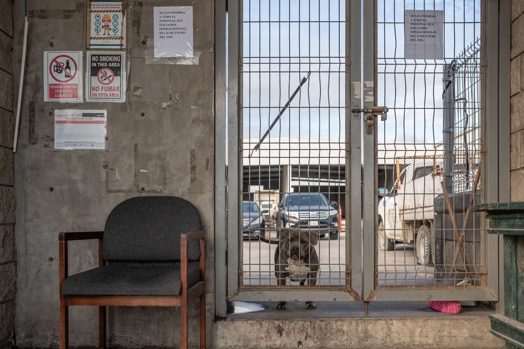 af7da021-5488-45a5-95f8-ad7080fb2c4d