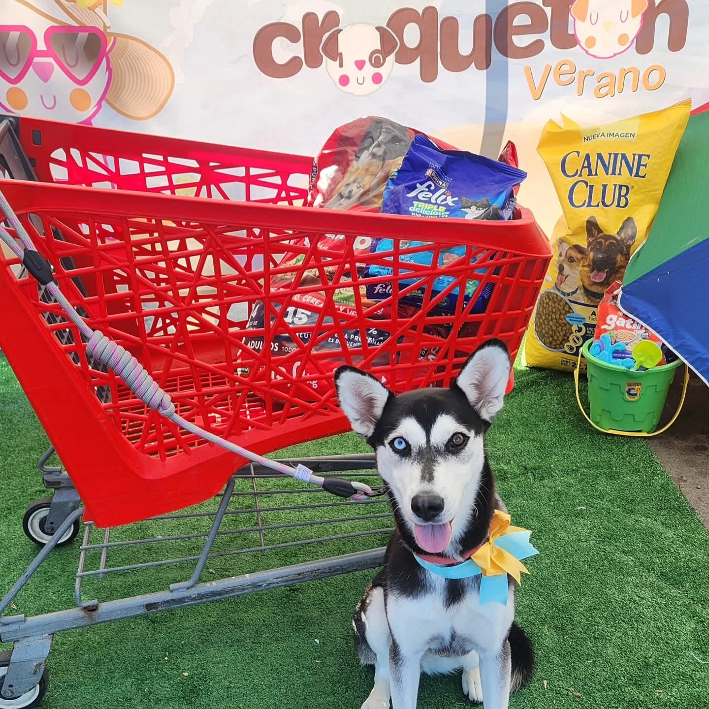 b011fa10-e5f7-45be-80c2-c83598252a40