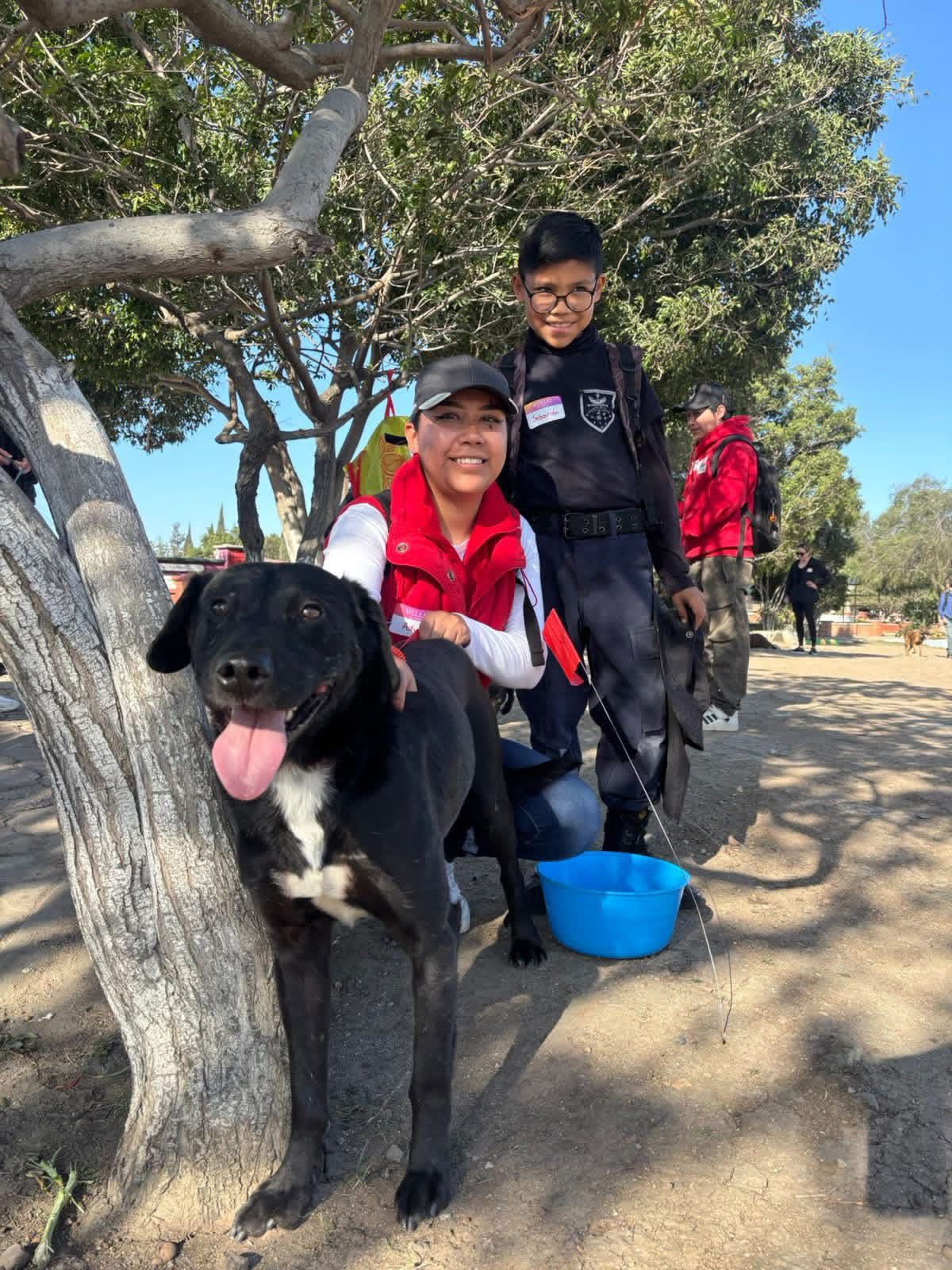 b1d9264f-118a-4710-b04a-e54284769152