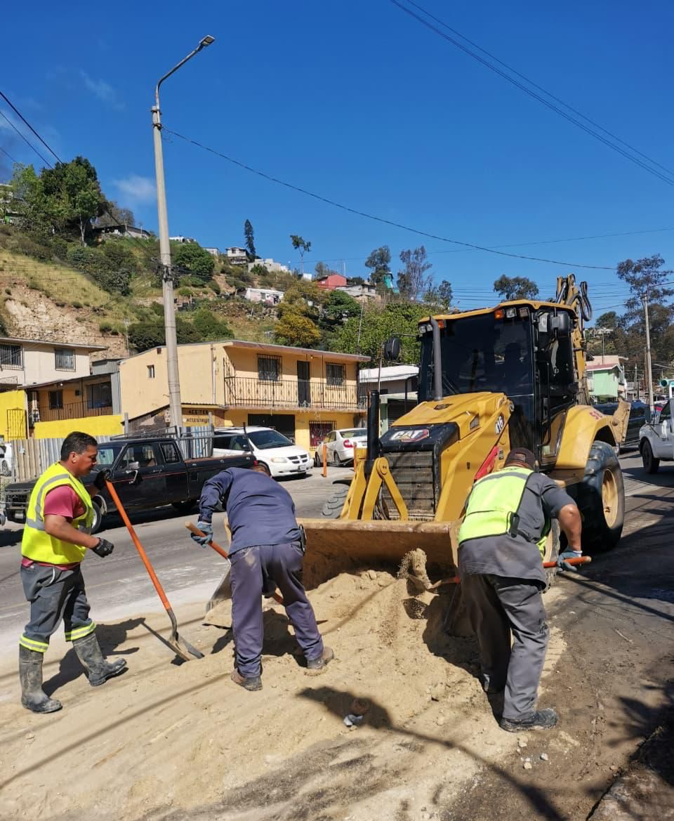 b28119e4-b34f-4023-85b1-a0247edd05b5