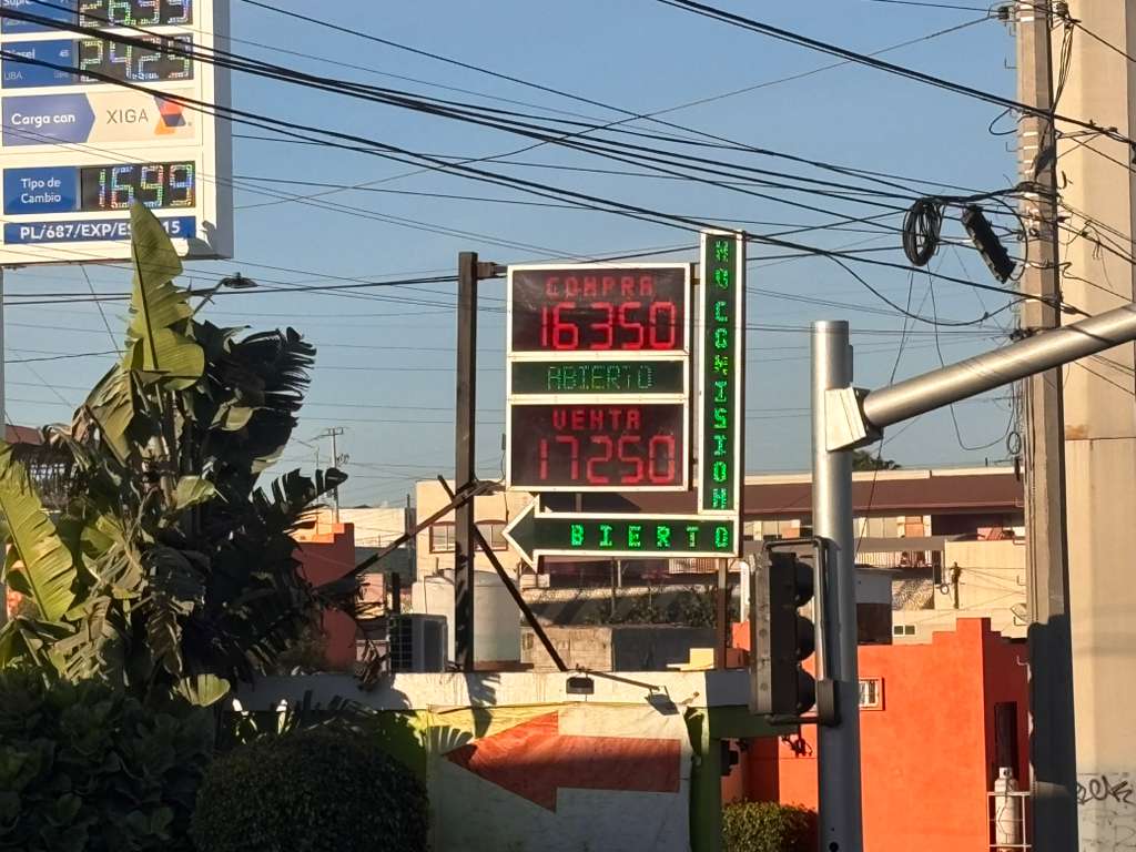 b2cfa6ce-69bf-4db8-8329-4598eb0a4a99