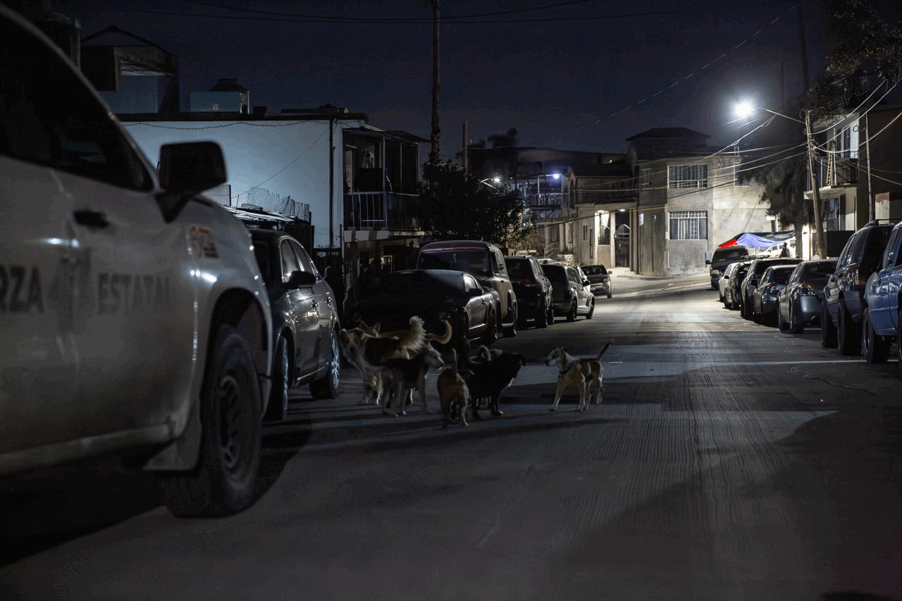 b3c44b5a-d908-41f6-b90a-3027f30c5f49