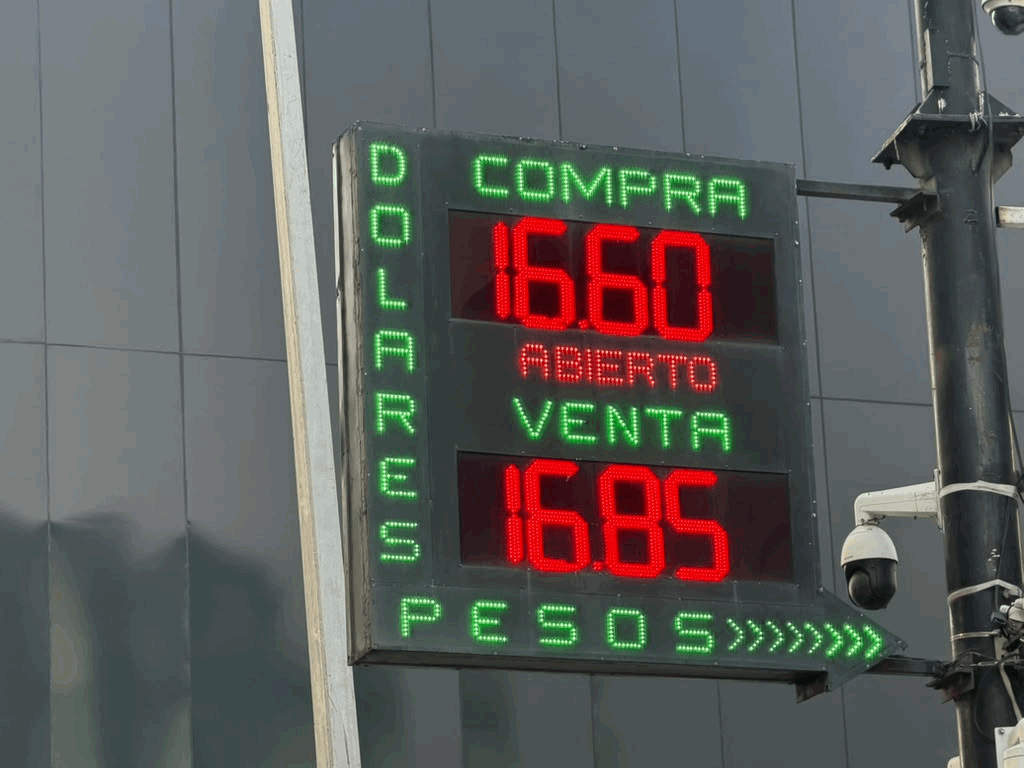 b3e69b4a-ec10-497c-b998-fb1b2e9e2a53
