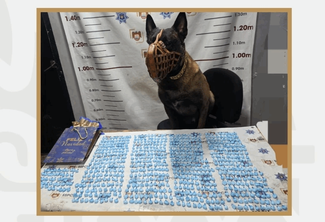 b49d3ab4-31cf-4c00-b53b-bed1c103f166