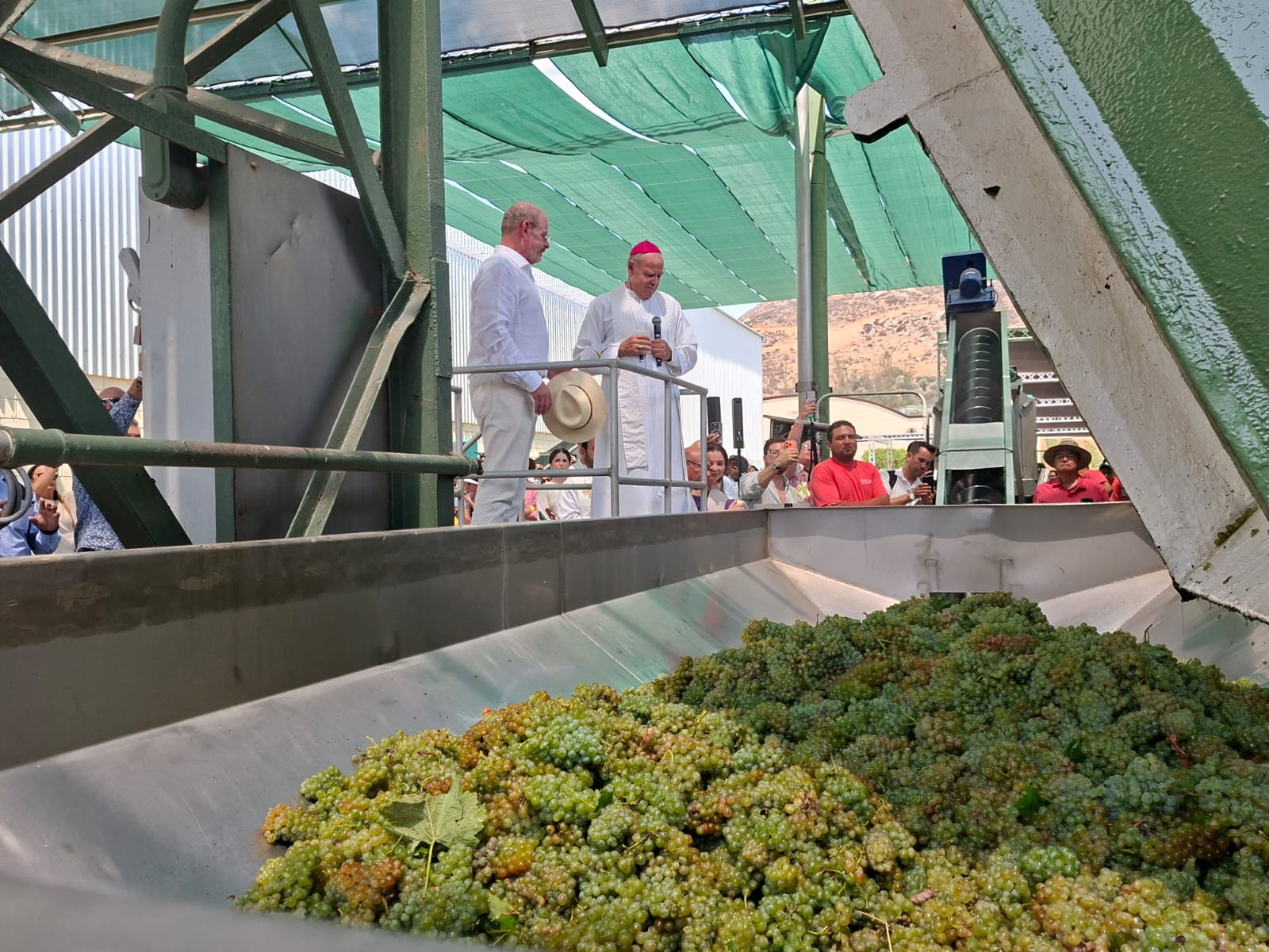 b4bf3452-d212-4cc0-a11e-dbd03290d59e
