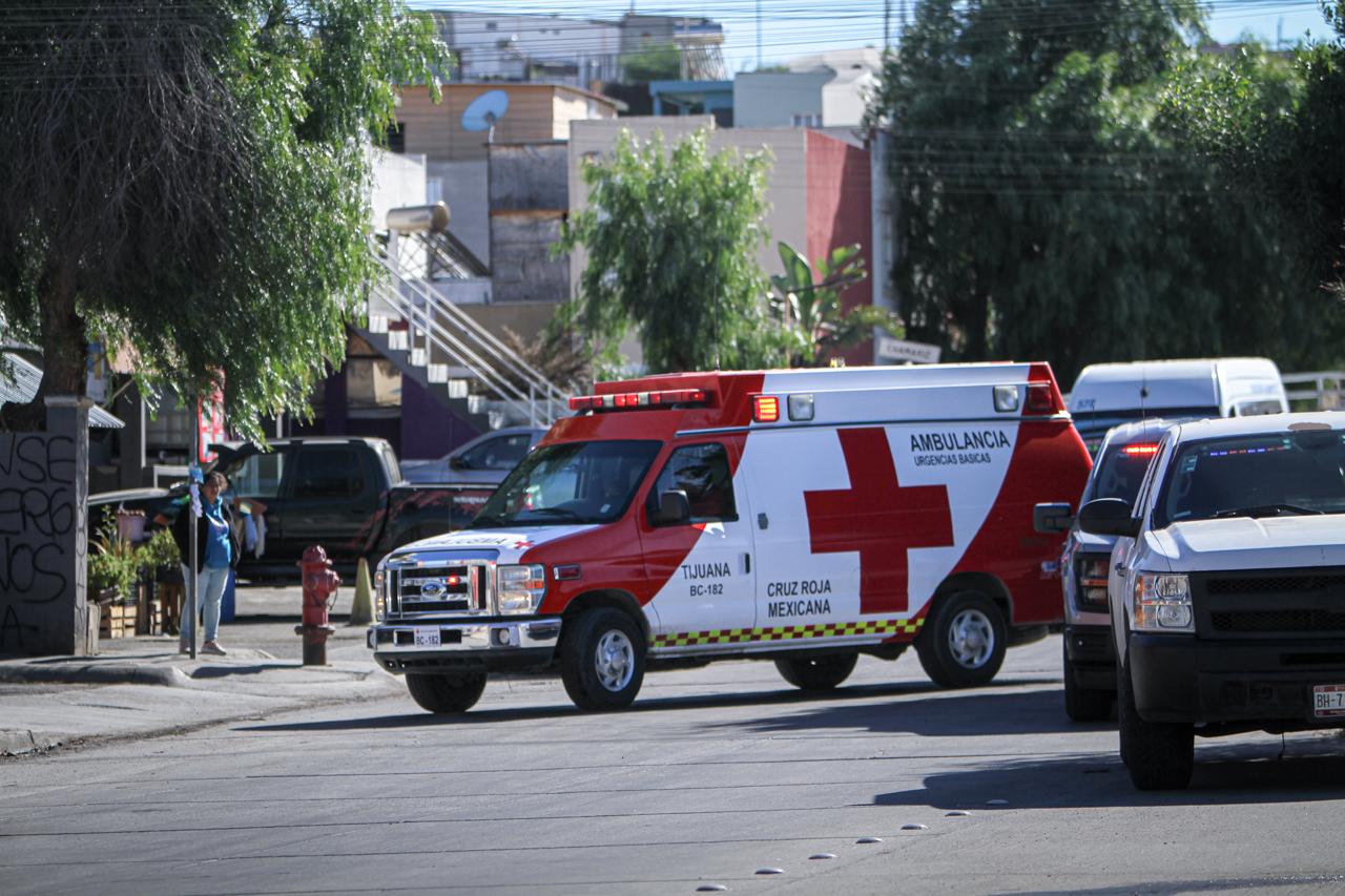 b50a0985-b67f-4862-bd45-7b6262d0b4a4