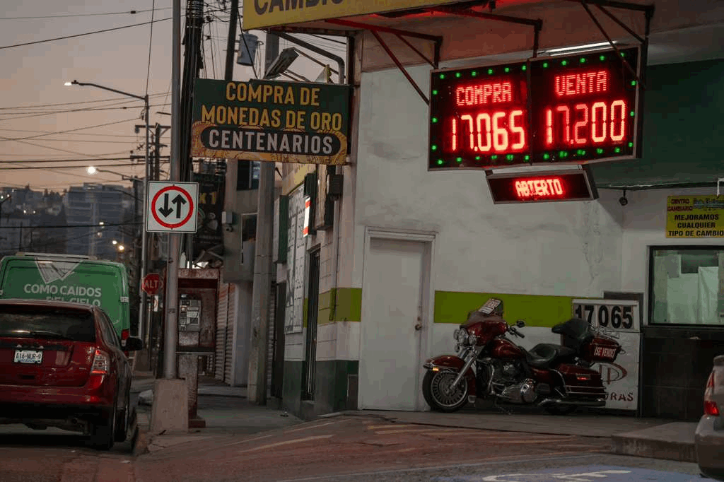 b8f204c5-b57c-4a51-876f-78f5f09728ae