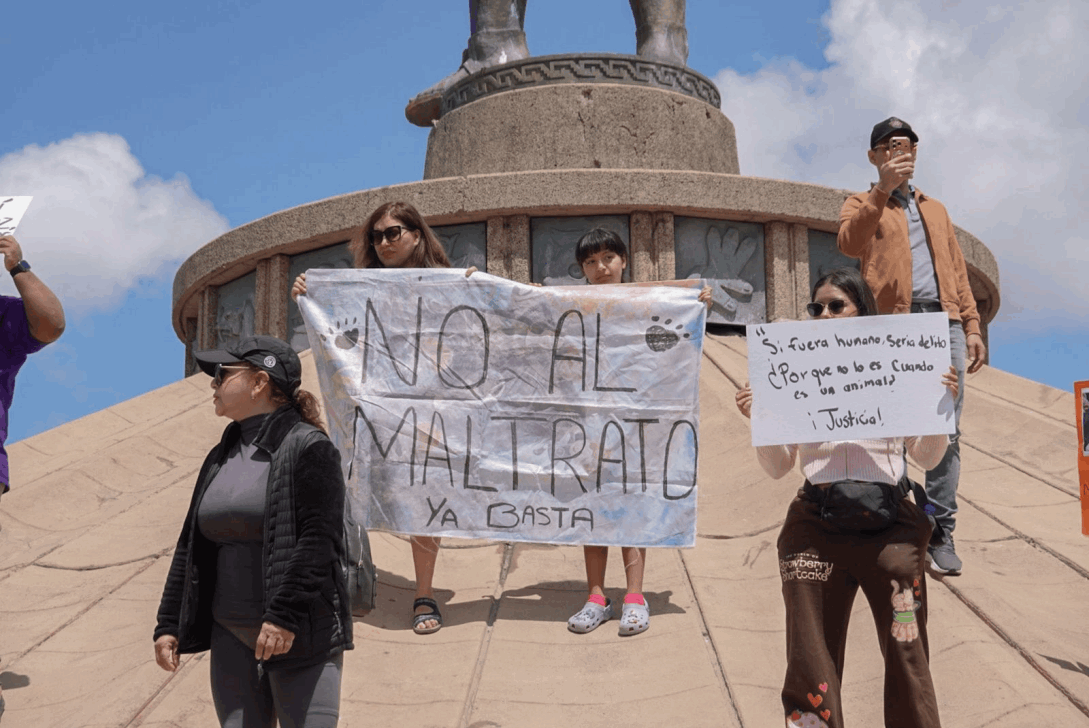 b92206e6-911a-494f-b4c2-2bfa48fa1877