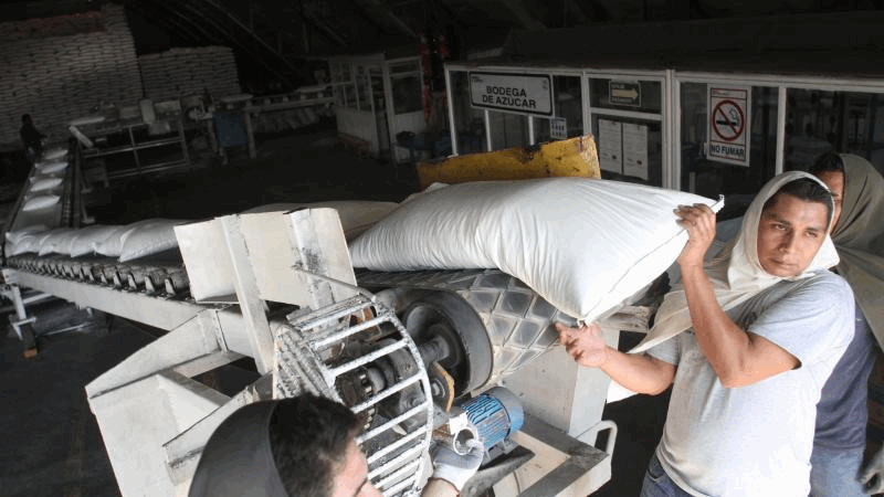 baca1d36-913c-4725-9c24-5b5f36b06405