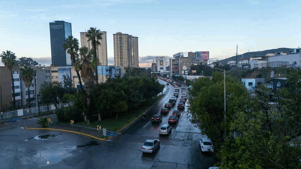 bb0a99bb-4cea-4c7c-a707-d121960cfc56