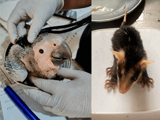 bbe04662-5062-4760-9f4d-735e3a4b3dc0