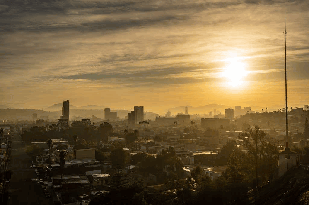 bd9839ac-4f41-4a1f-b3de-7f20a990b1da