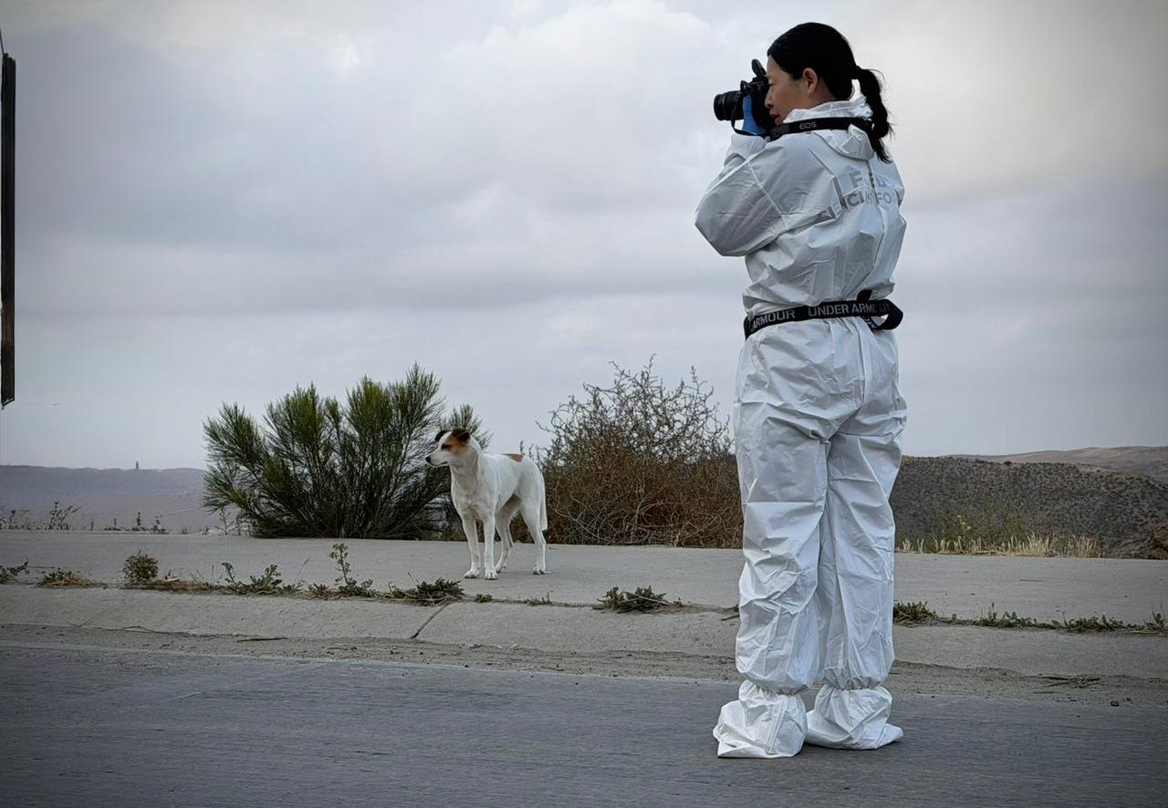 bddaa8c2-398e-4f9d-8785-f2423e80ad32