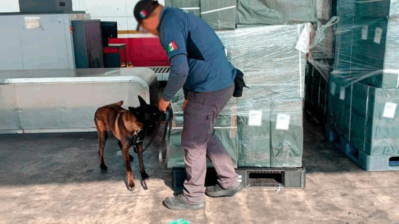 bef8923d-8db4-4af4-9fac-1698b0ba1cb5